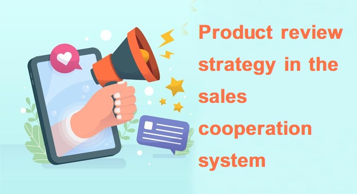 Product review strategy in the sales cooperation system